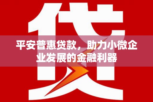 句容平安普惠贷款，助力小微企业发展的金融利器