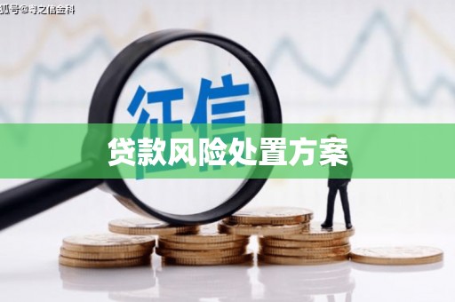 句容贷款风险处置方案